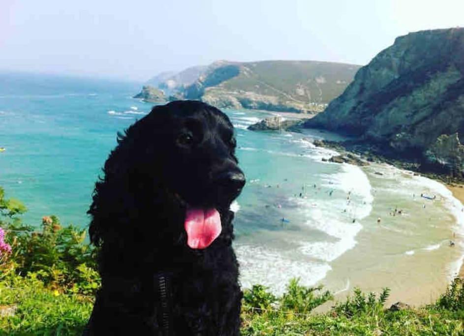 Very Spacious, Great Location. Castle And Sea View Marazion